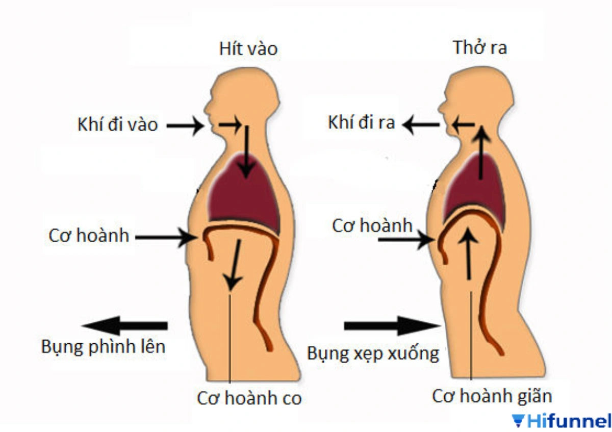 Kỹ thuật thở bụng giúp giọng nói vang và bền hơi khi giao tiếp, thuyết trình