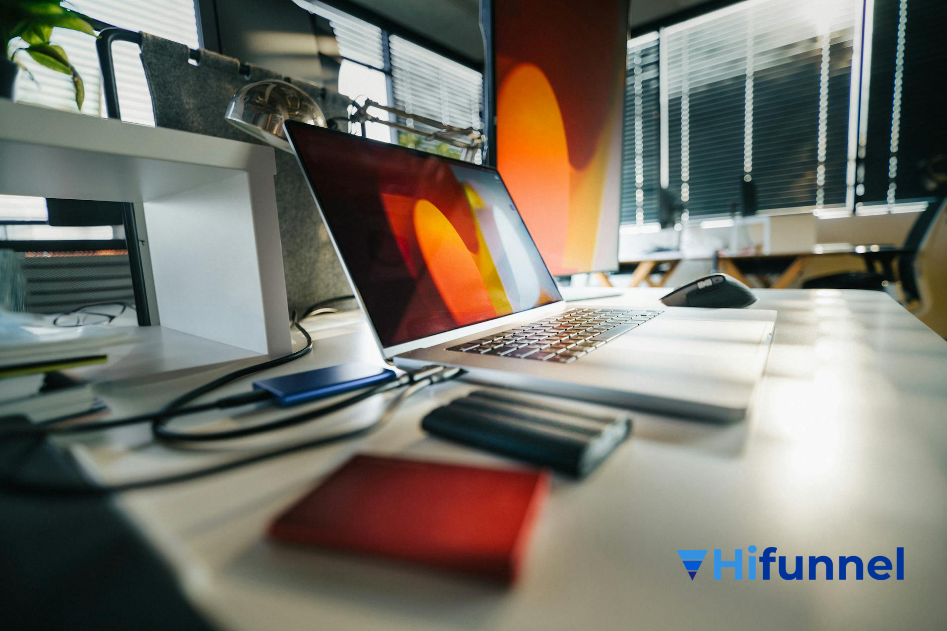 thiết kế layout template Notion database và views